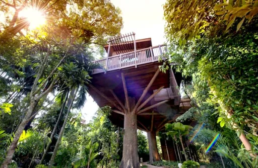 Image for article Staycations in Singapore: Dare to Be Different With These Alternative Ideas