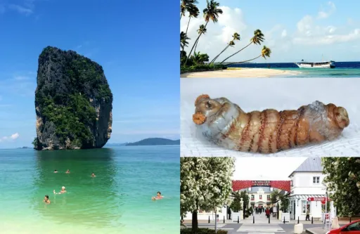 Image for article Top 10 Travel Reads of 2014 – TripZilla Magazine