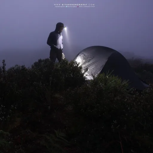 Jed Ryan Rosell Image of Jed Ryan Rosell