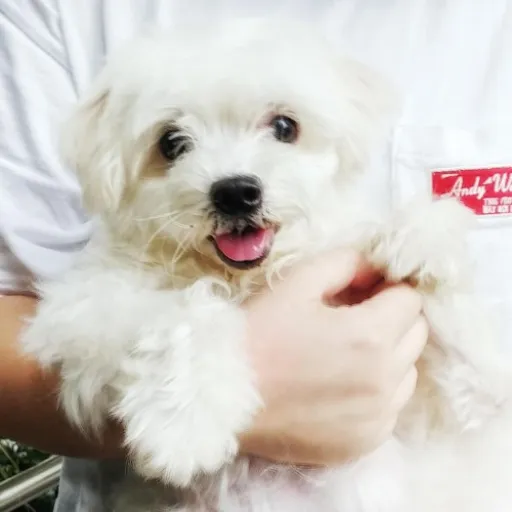 Image of Rainer Cheung