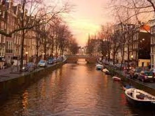image for article Top 10 must do activities in Amsterdam for 2023