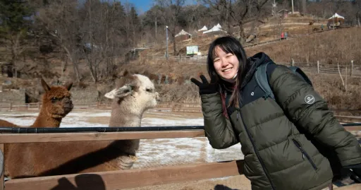 Image for article 5 Easy Day Trips from Seoul, South Korea You Can Take in Winter
