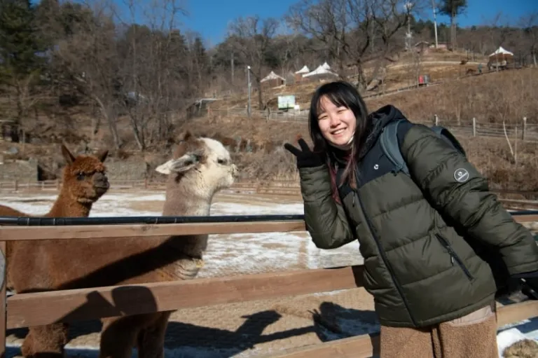 easy day trips from seoul