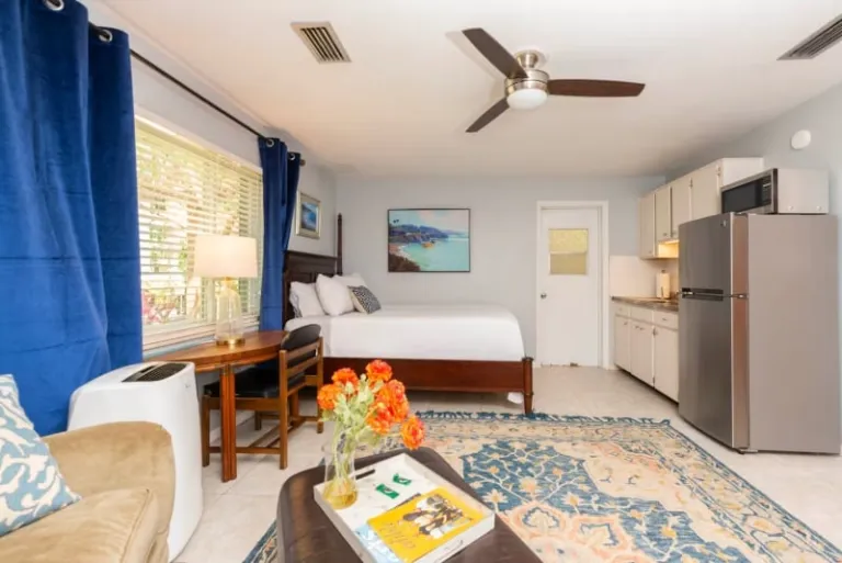 Luxury Airbnb Orlando private pool 