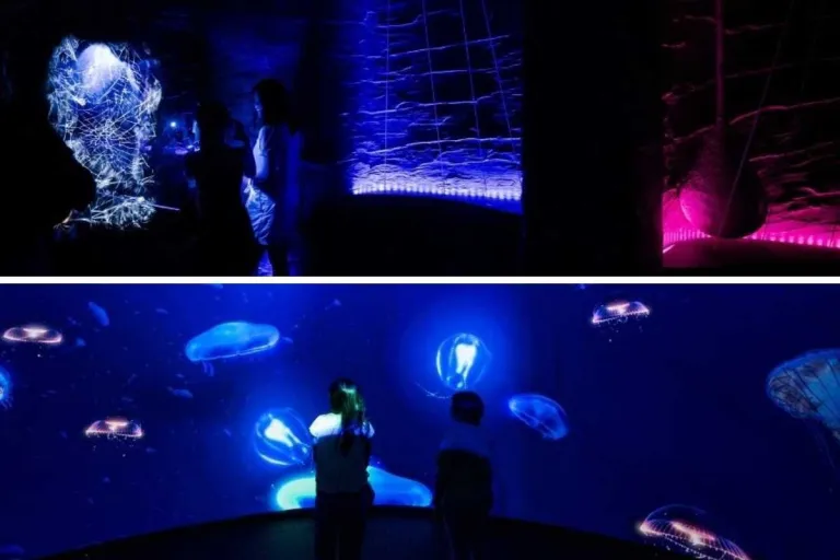 Exploria Visitor Guide