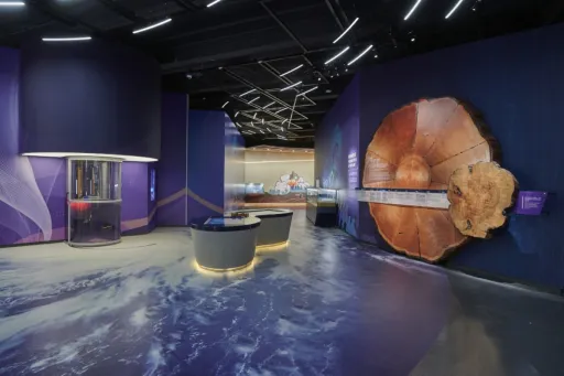 Image for article Asia’s Most Interesting Interactive Museums Worth Visiting