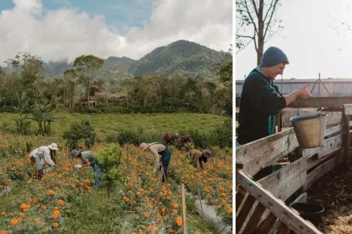 Image for article How To Travel More Sustainably: Practical Tips For Conscious Explorers