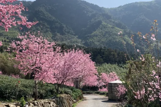 Image for article Avoid The School Holiday Crowds At These Travel Destinations