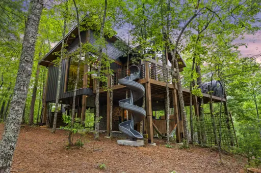 Image for article 8 Unique Treehouse Airbnb Stays in the United States