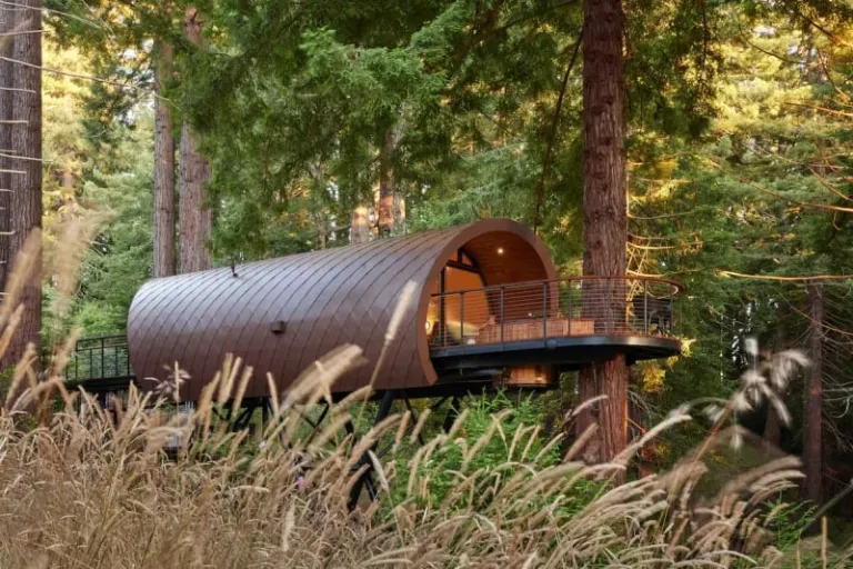Treehouse Airbnb United States 