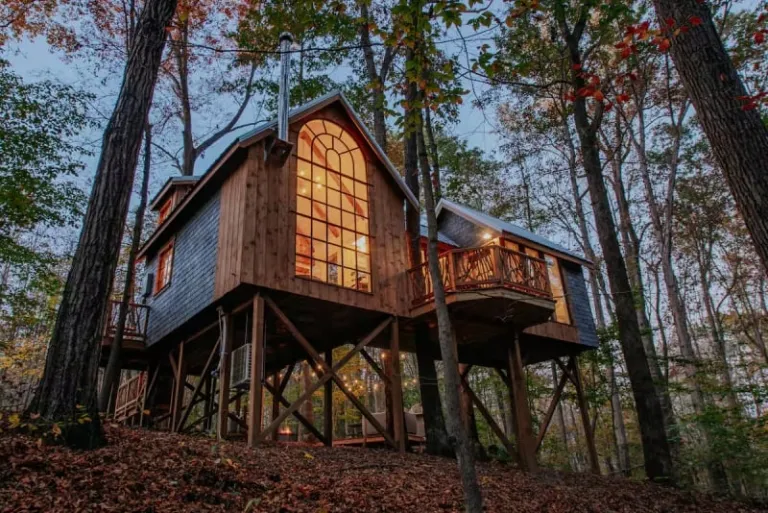 Treehouse Airbnb United States 
