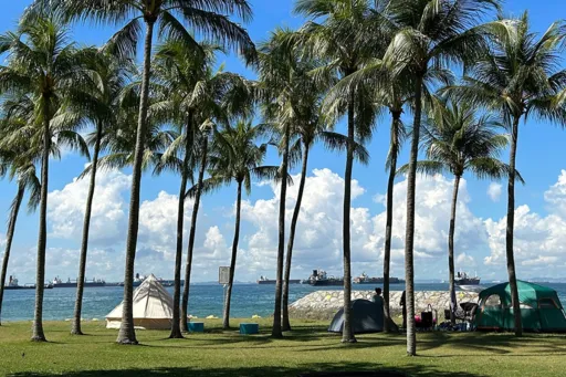 Image for article The Best Cycling & Walking Trails in Singapore