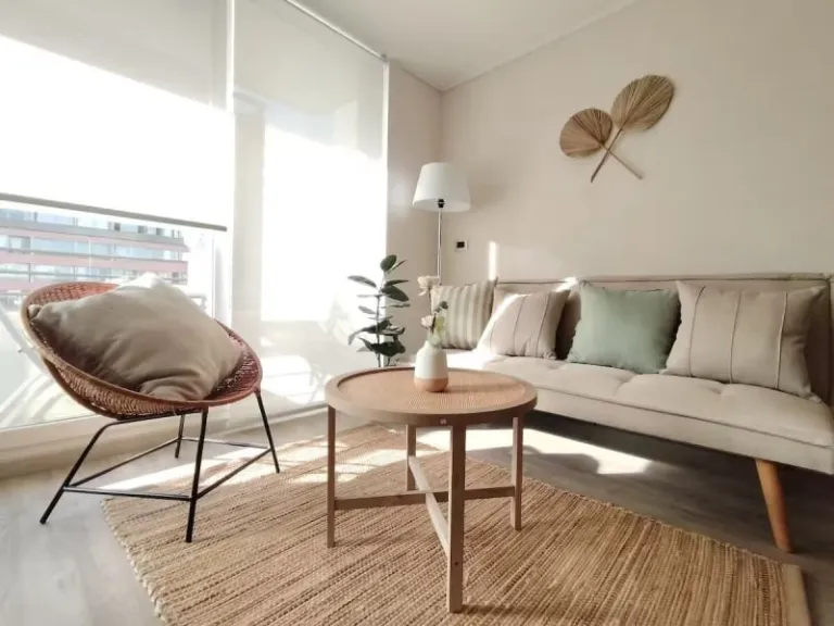 comfy Airbnbs in Santiago