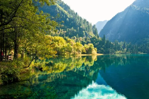 Image for article Life-Changing Holidays to Gift Yourself or Your Loved Ones