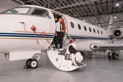 Image for article Asia’s First Pet-Friendly Airline, SingaPaw Air Takes Flight 