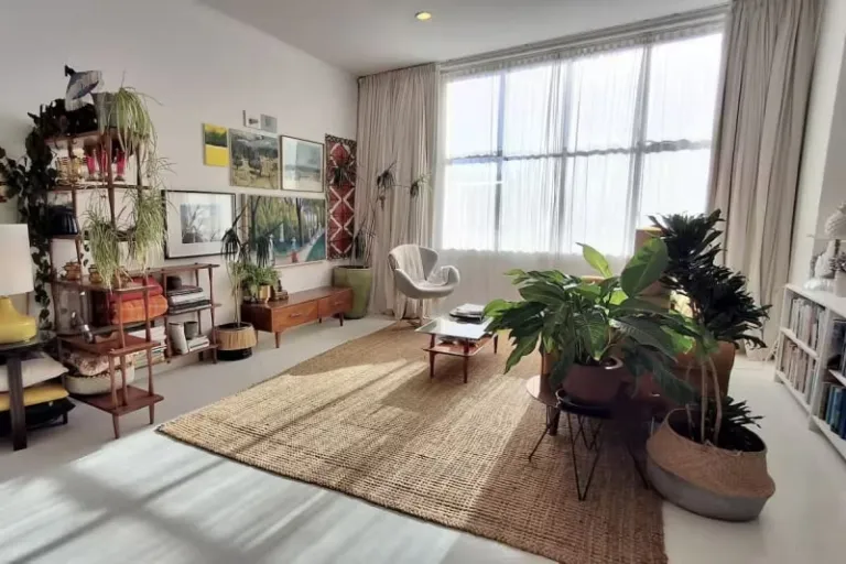 aesthetic Airbnb stays in Wellington