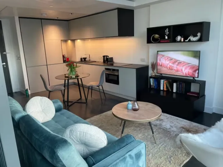 Airbnb London fireworks views 