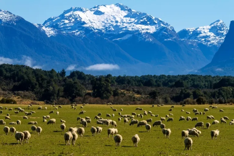 New Zealand