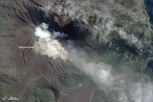 Image for article Sakurajima Volcano Eruption: Flight Disruptions and What Travellers Should Expect