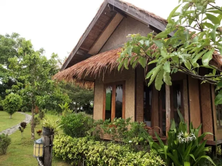 Airbnbs in Pai for hippies