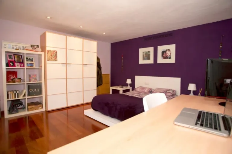 Best Pet friendly Airbnb Barcelona 