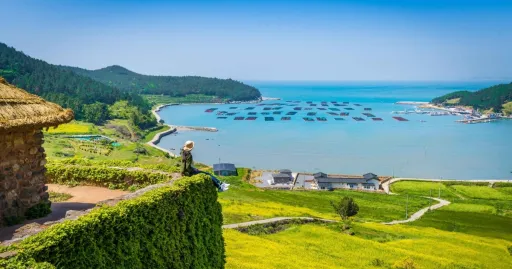 Image for article 10 Premium Family Experiences to Try in Jeolla-do, South Korea
