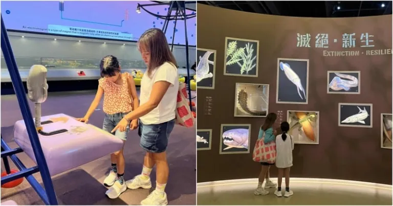 things to do in Hong Kong with kids