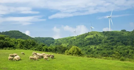 Image for article A Journey Through Gangwon: A Family-Friendly Itinerary