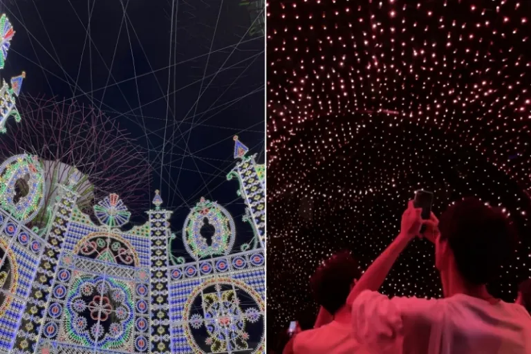 Christmas Wonderland Garden By the Bay