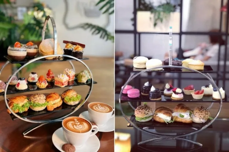 Manzanita @ Eco Botanic