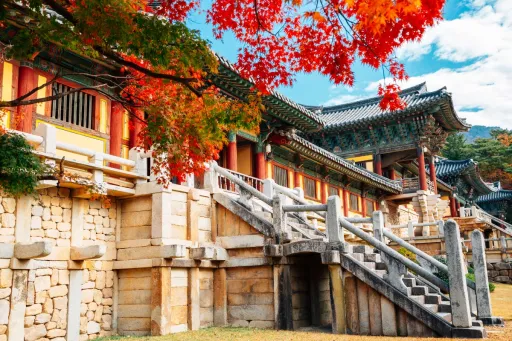 Image for article 3D2N Gyeongju Itinerary: An Underrated City Near Busan
