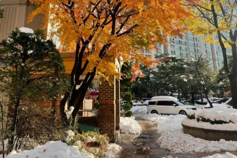korea autumn snow