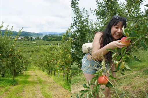 Image for article 5 Days in Tohoku: Exploring a Quiet, Beautiful Side of Japan You Shouldn’t Miss