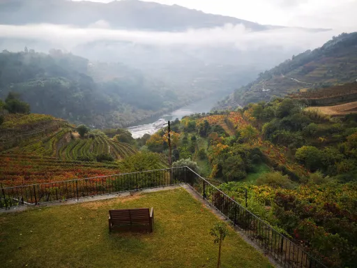 Image for article 8 Unique Airbnb Stays in Porto for Wine Lovers 2025