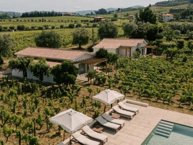 wine estate Airbnb stays in Porto