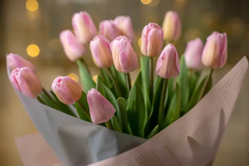 Image for article Special Days in Korea: A Celebration for Every Month