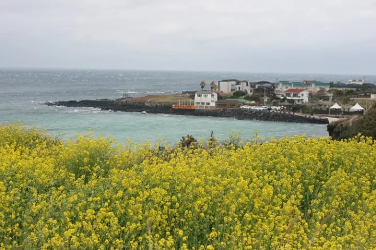 jeju