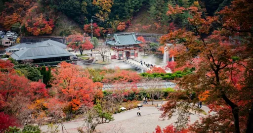 Image for article Japan Autumn Foliage Forecast 2025: When & Where to See Autumn Leaves