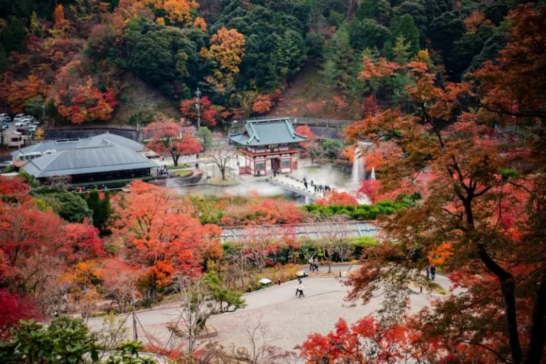 japan autumn foliage forecast 2025