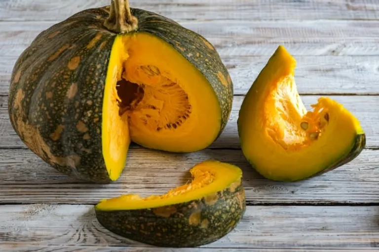 Kabocha