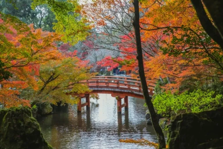 japan autumn foliage forecast 2025