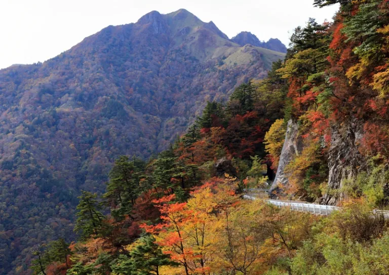 japan fall foliage 2025
