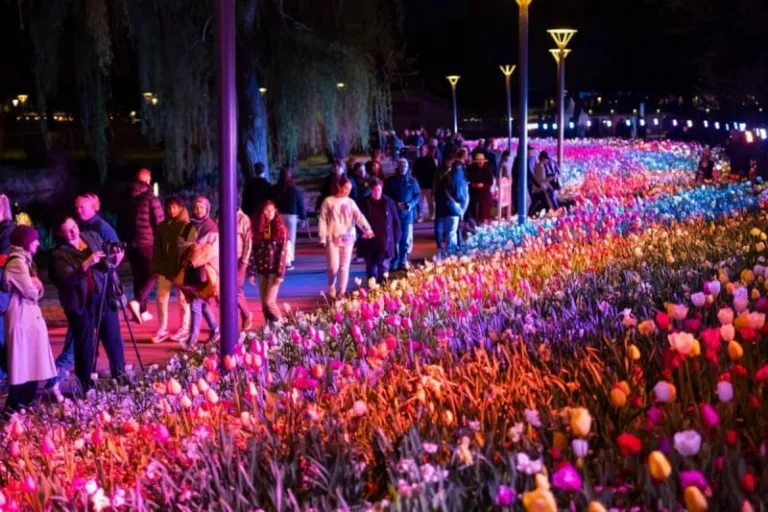 Floriade NightFest