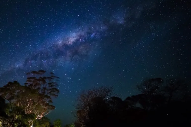 Night Sky Journey: Astronomy Tour