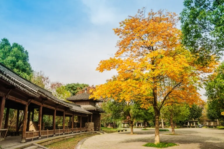 Xixi National Wetland Park