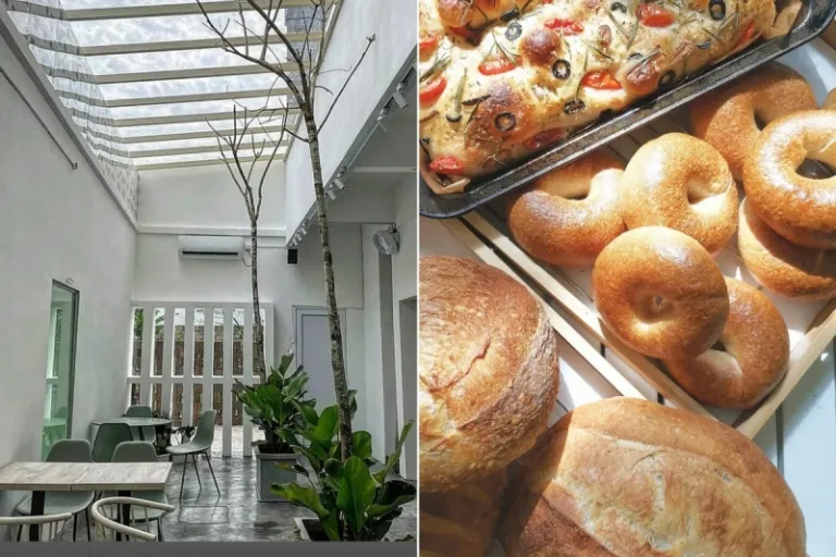 The Lightwood by Mues