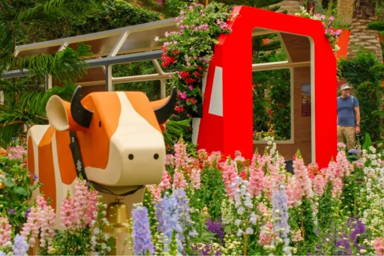 garden by the bay alpine adventures