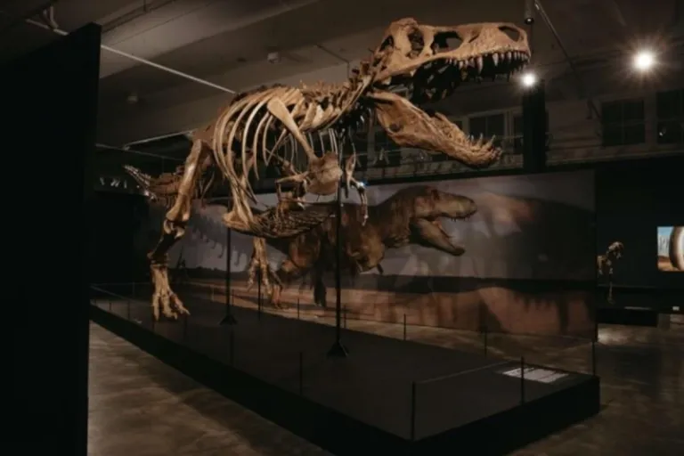 DINOSAURS | EXTINCTIONS | US