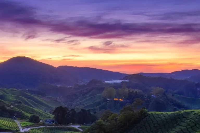 sunrise at cameron highlands