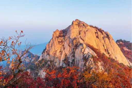 Image for article South Korea Fall Foliage 2025 Forecast: When & Where to See Autumn Leaves